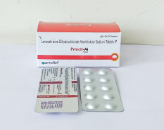 PRINCIT-M - Medilance